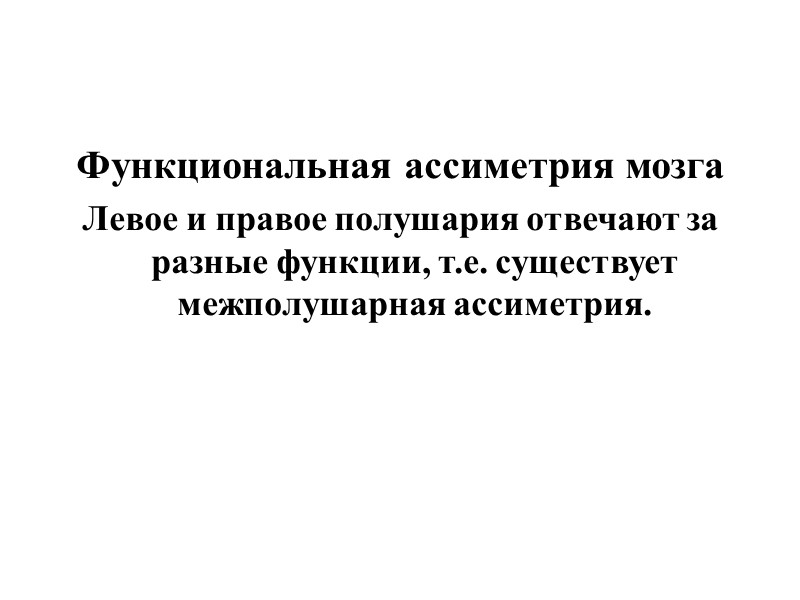 Функциональная ассиметрия мозга Левое и правое полушария отвечают за разные функции, т.е. существует межполушарная